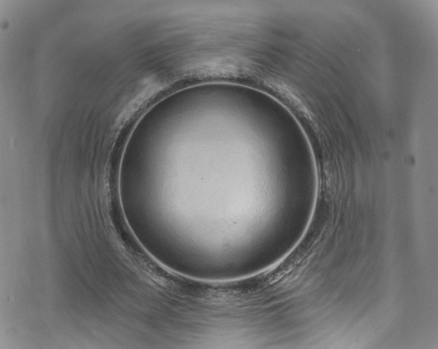 X0000073730487200608031333