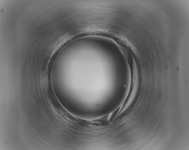 X0000073730488200608031333