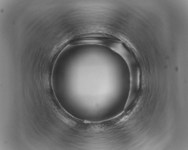 X0000073730489200608031333