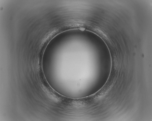 X0000073730490200608031333