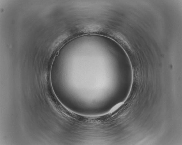 X0000073730491200608031333