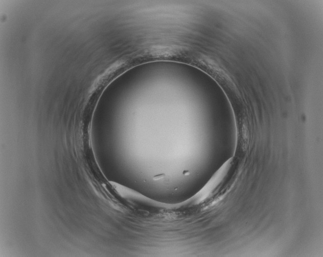 X0000073730492200608031333