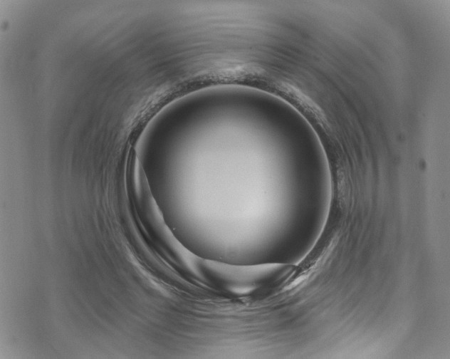 X0000073730493200608031333