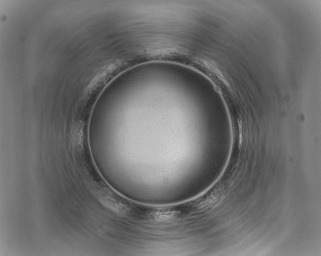 X0000073730495200608031333