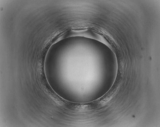 X0000073730497200608031333