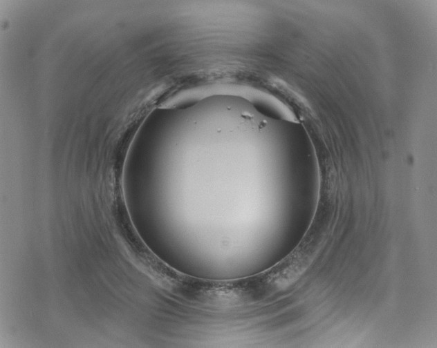 X0000073730498200608031333