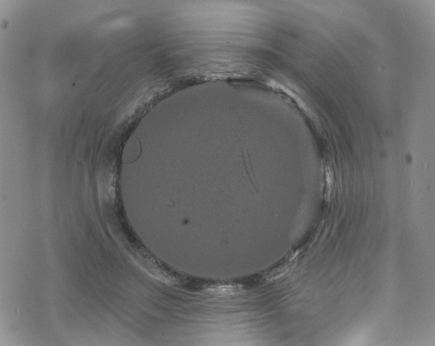 X0000073730499200608031333