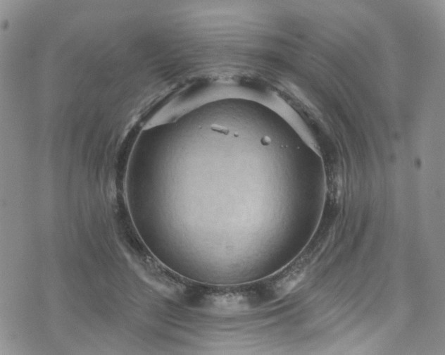 X0000073730500200608031333