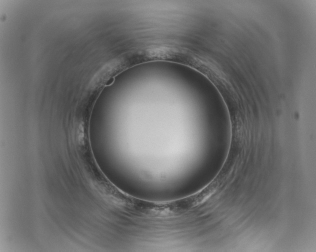 X0000073730502200608031333