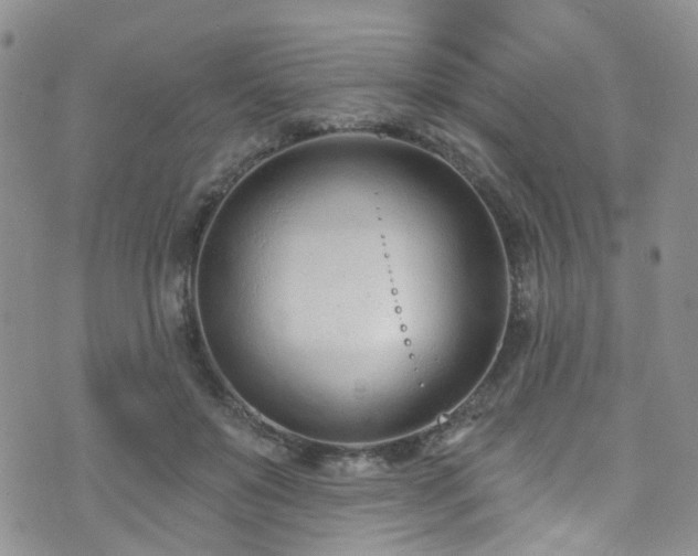 X0000073730503200608031333