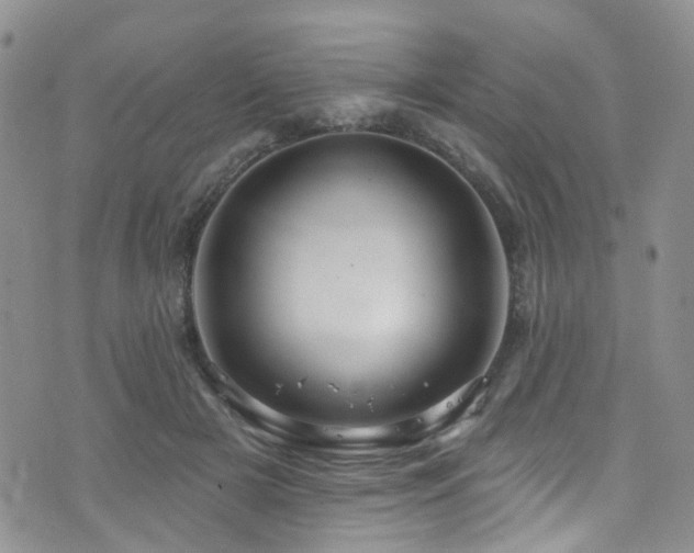 X0000073730505200608031333