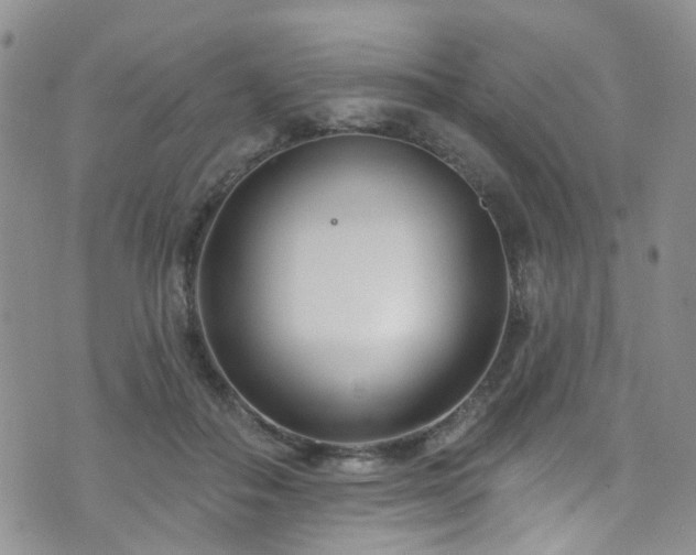 X0000073730506200608031333