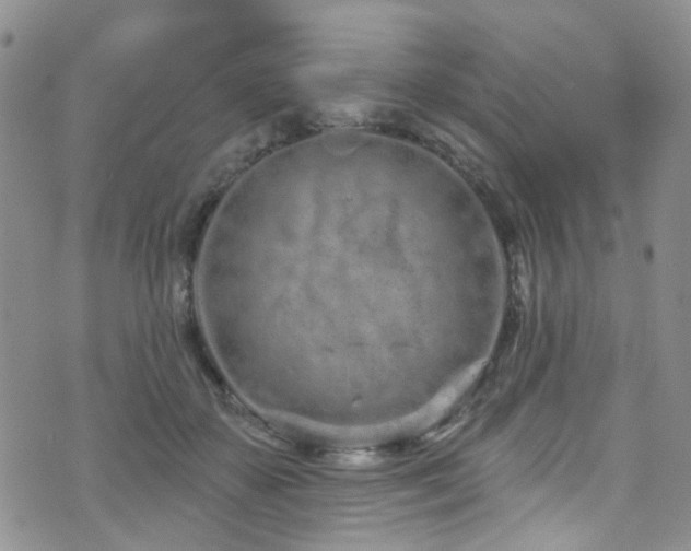 X0000073730507200608031333