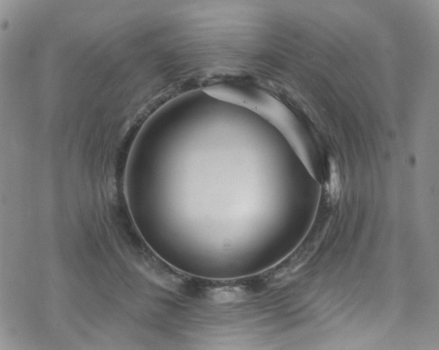 X0000073730508200608031333