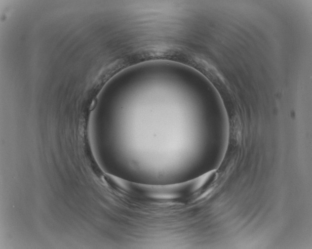 X0000073730509200608031333