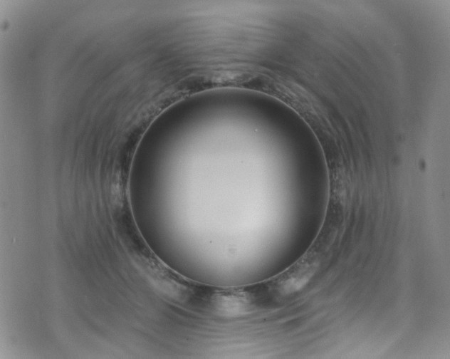 X0000073730510200608031333