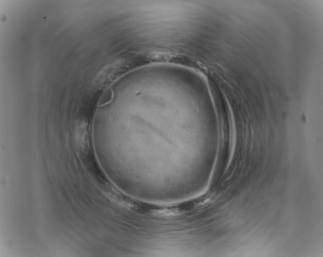 X0000073730511200608031333