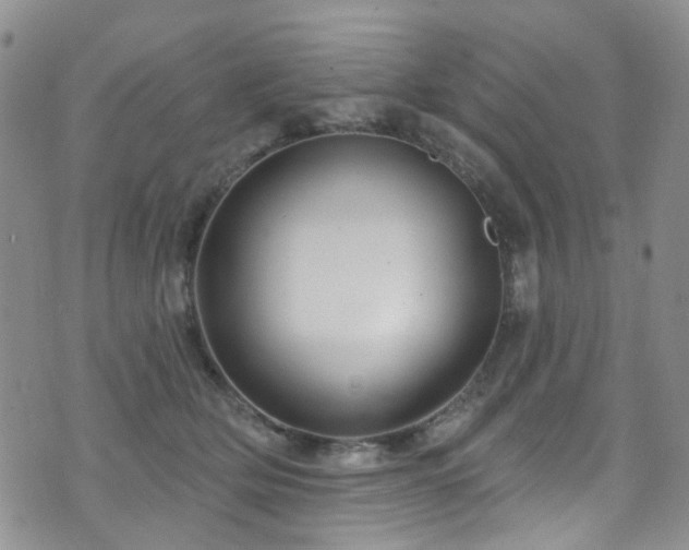 X0000073730514200608031333