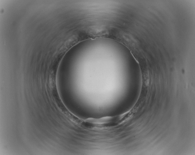 X0000073730515200608031333