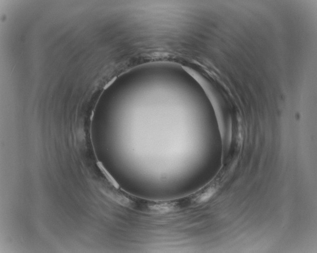 X0000073730516200608031333