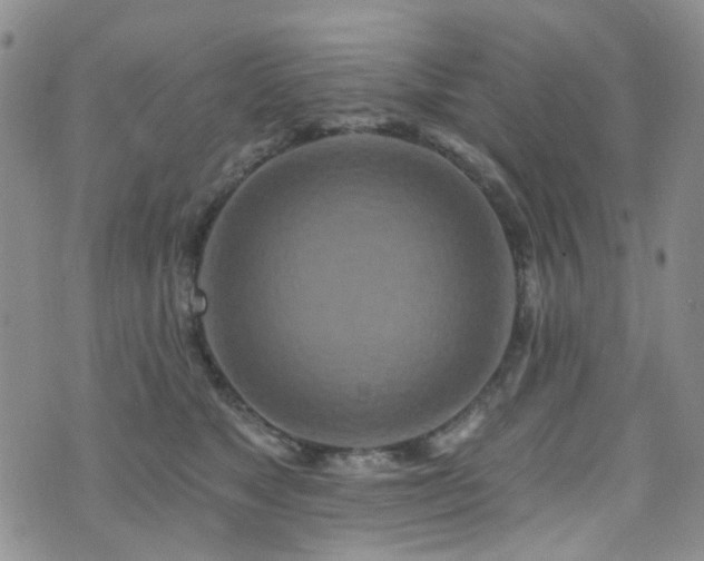 X0000073730517200608031333