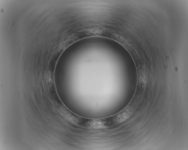 X0000073730518200608031333