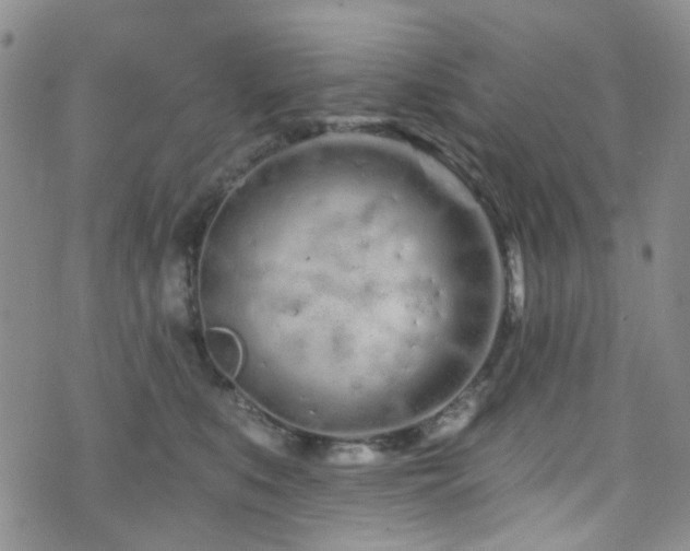 X0000073730519200608031333