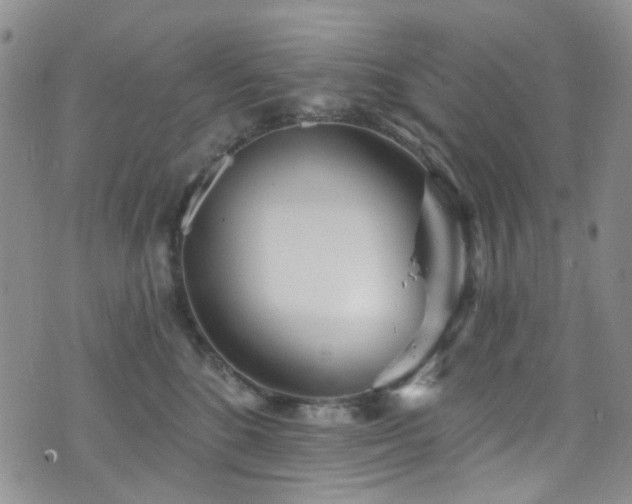 X0000073730520200608031333