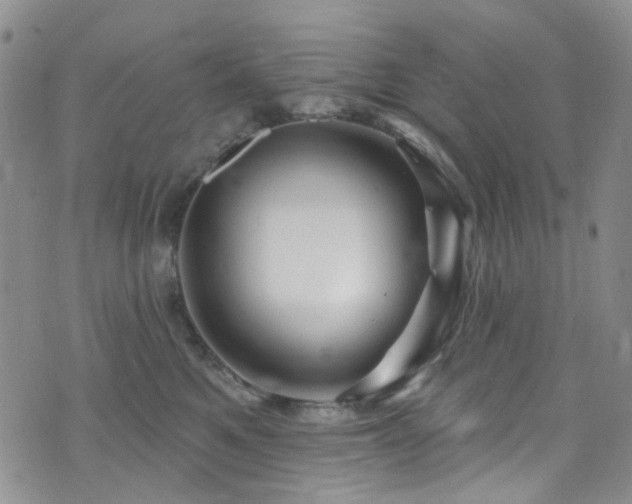 X0000073730521200608031333