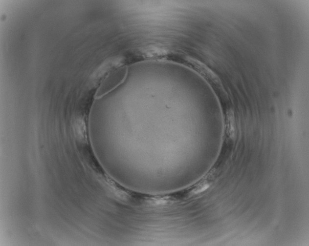 X0000073730523200608031333