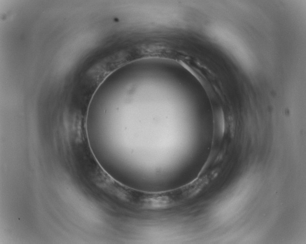 X0000073730525200608031333