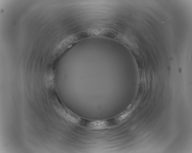 X0000073730526200608031333