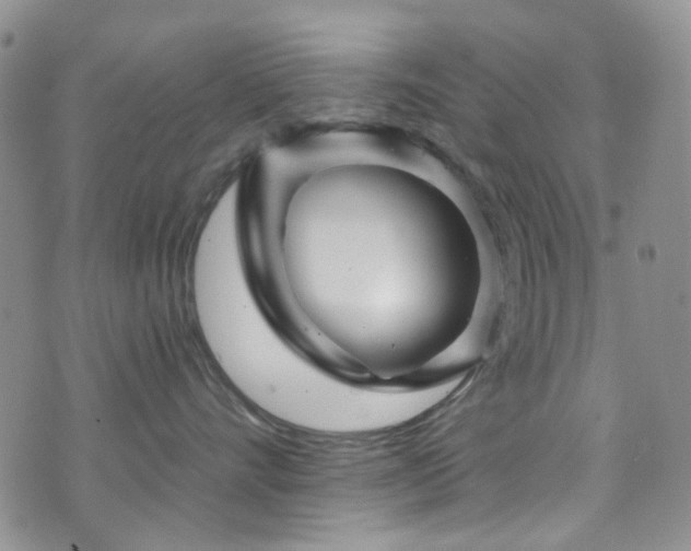 X0000073730528200608031333