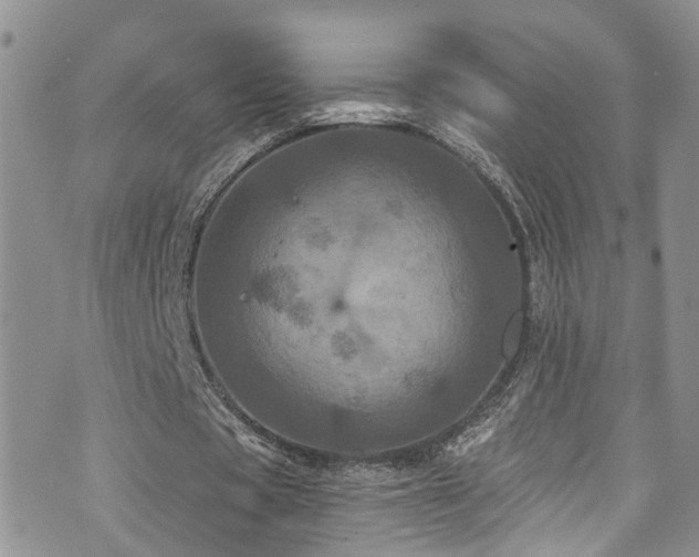 X0000073730529200608031332