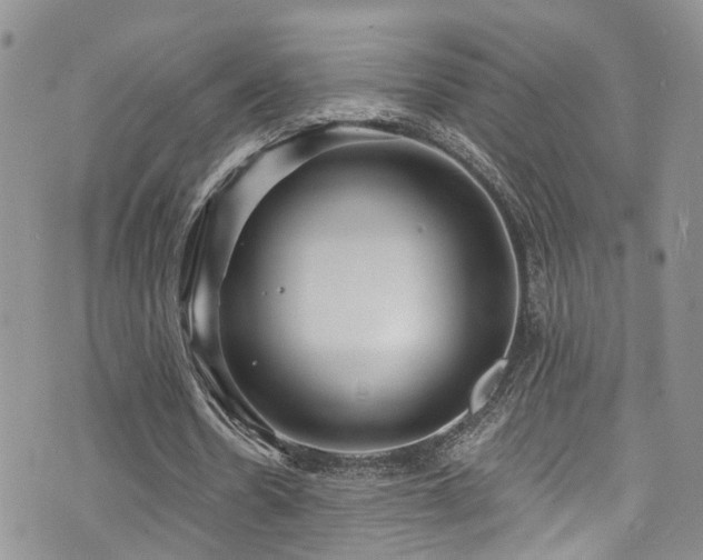 X0000073730530200608031332