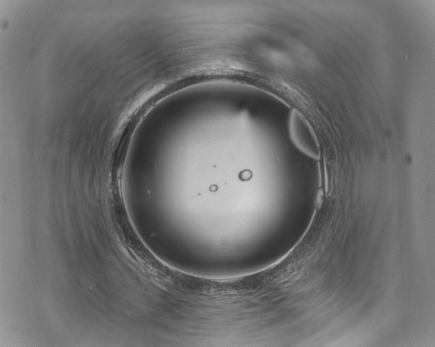 X0000073730531200608031332