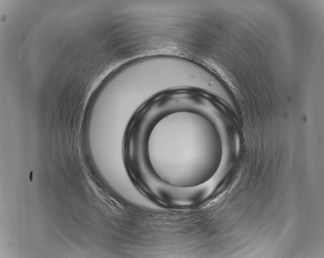 X0000073730532200608031332