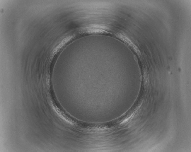 X0000073730533200608031332