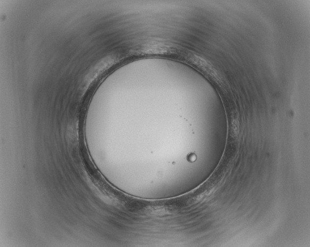 X0000073730534200608031332