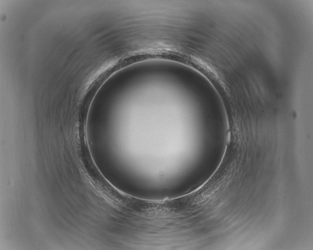 X0000073730535200608031332