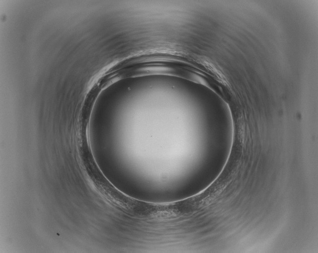 X0000073730536200608031332