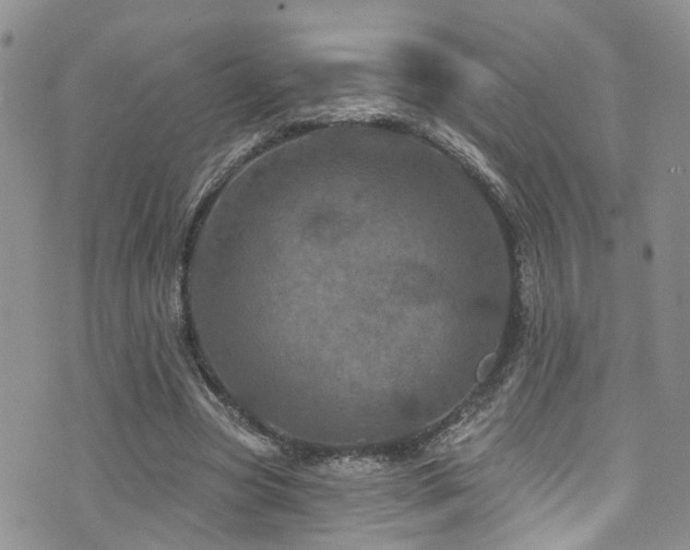 X0000073730537200608031332