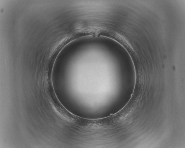 X0000073730538200608031332