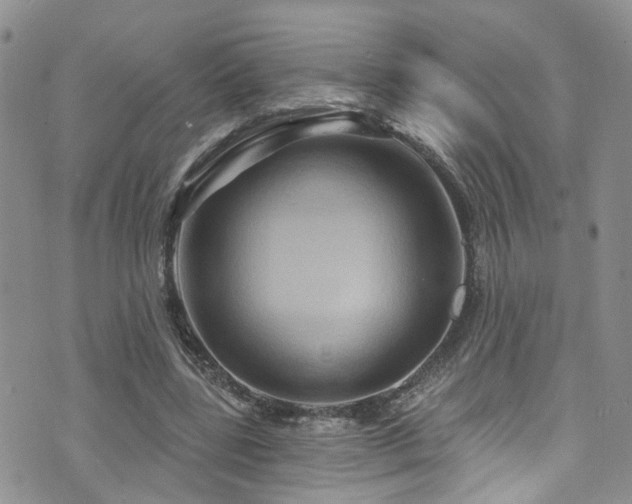 X0000073730539200608031332