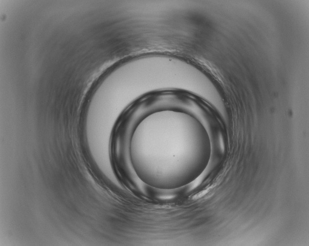 X0000073730540200608031332