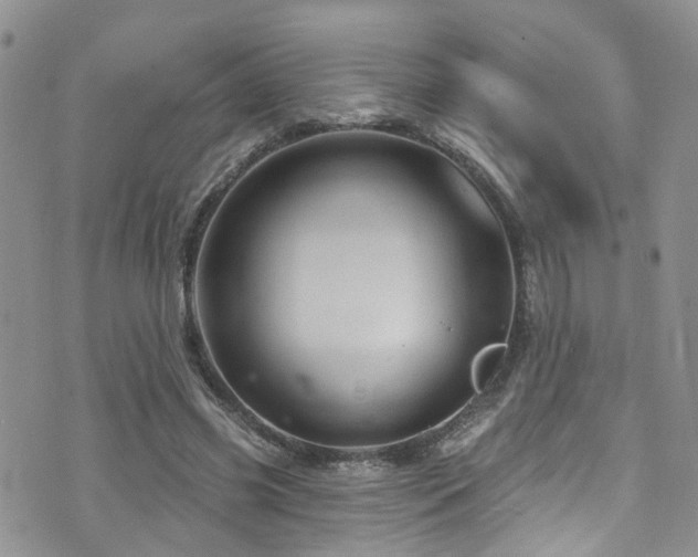 X0000073730541200608031332