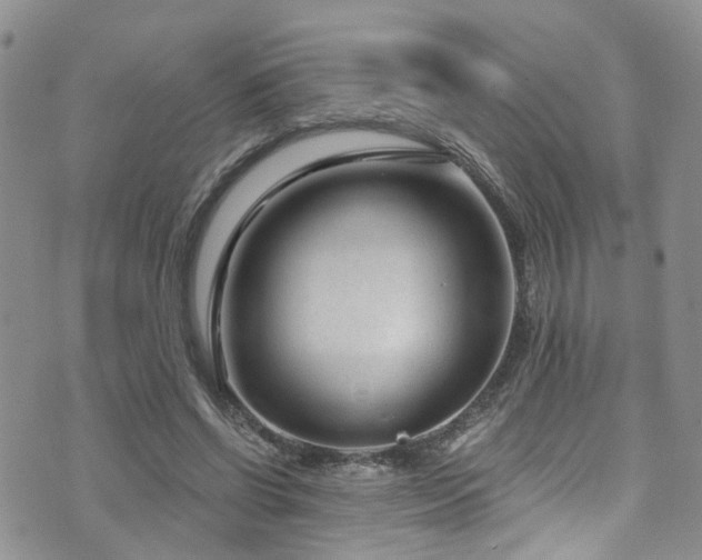 X0000073730542200608031332