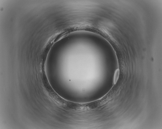 X0000073730543200608031332