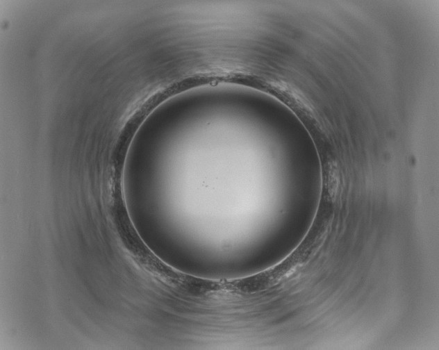 X0000073730544200608031332