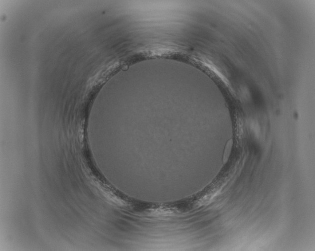 X0000073730545200608031332